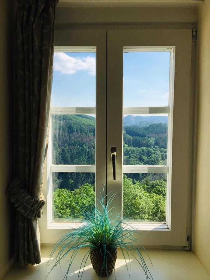 Schloss Wittgenstein Appartement Bad Laasphe Buitenkant foto