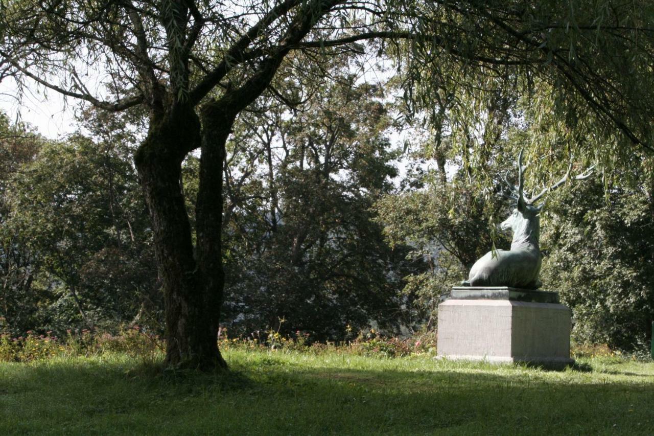 Schloss Wittgenstein Appartement Bad Laasphe Buitenkant foto