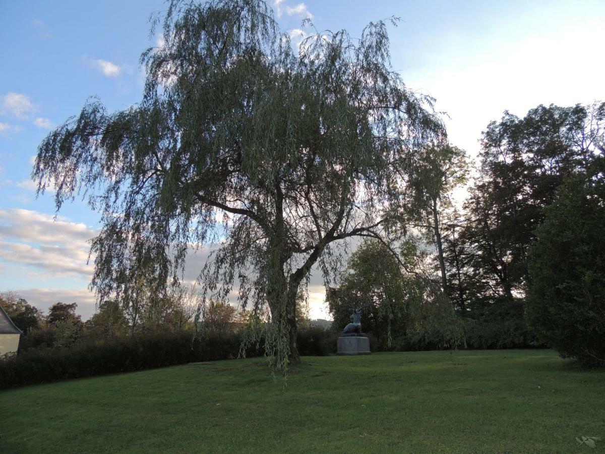 Schloss Wittgenstein Appartement Bad Laasphe Buitenkant foto